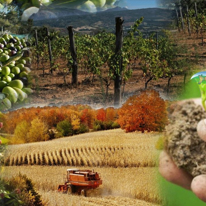 Corso di abilitazione per acquisto uso prodotti fitosanitari